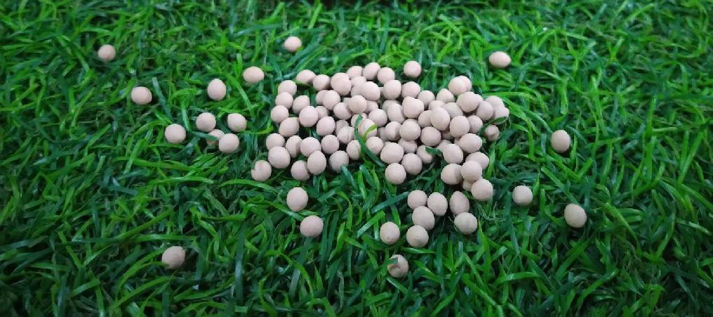 green cos 10,000 pills(ไม่เคลือบ)