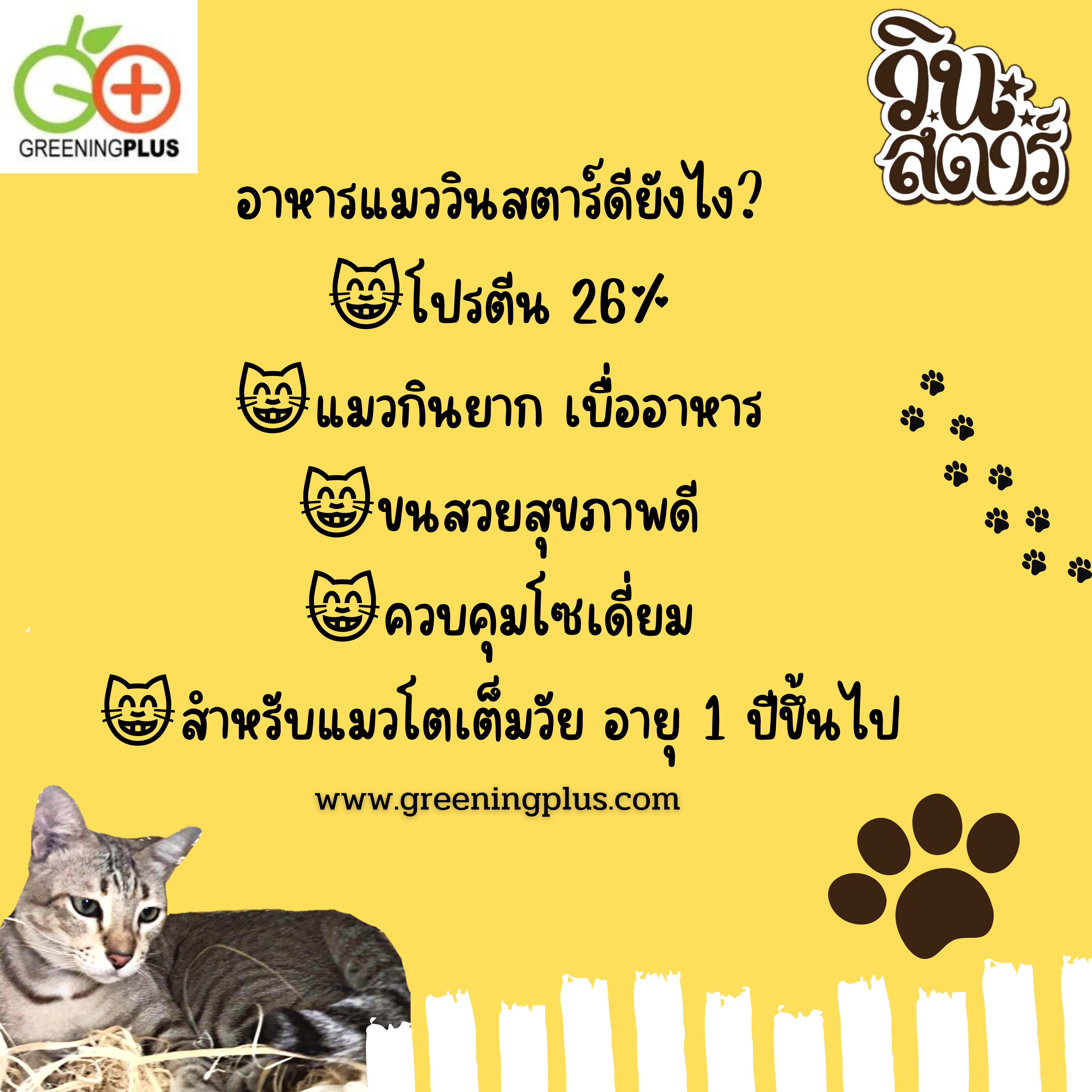 อาหารแมว วินสตาร์ Winstar (แบ่งขาย) ขนาด 1 kg./ถุง