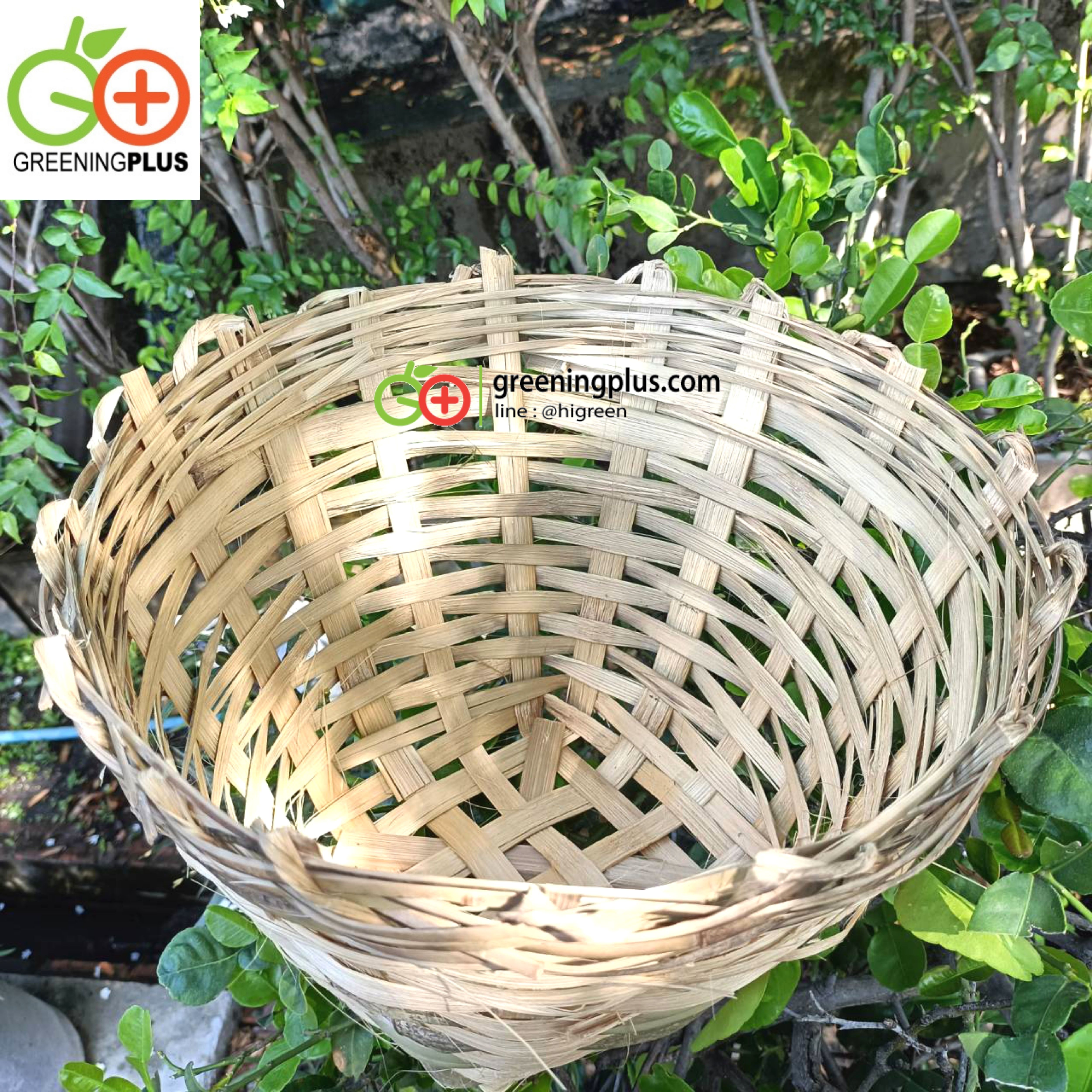 เข่งไม้ไผ่ (จำนวน 1 ใบ)