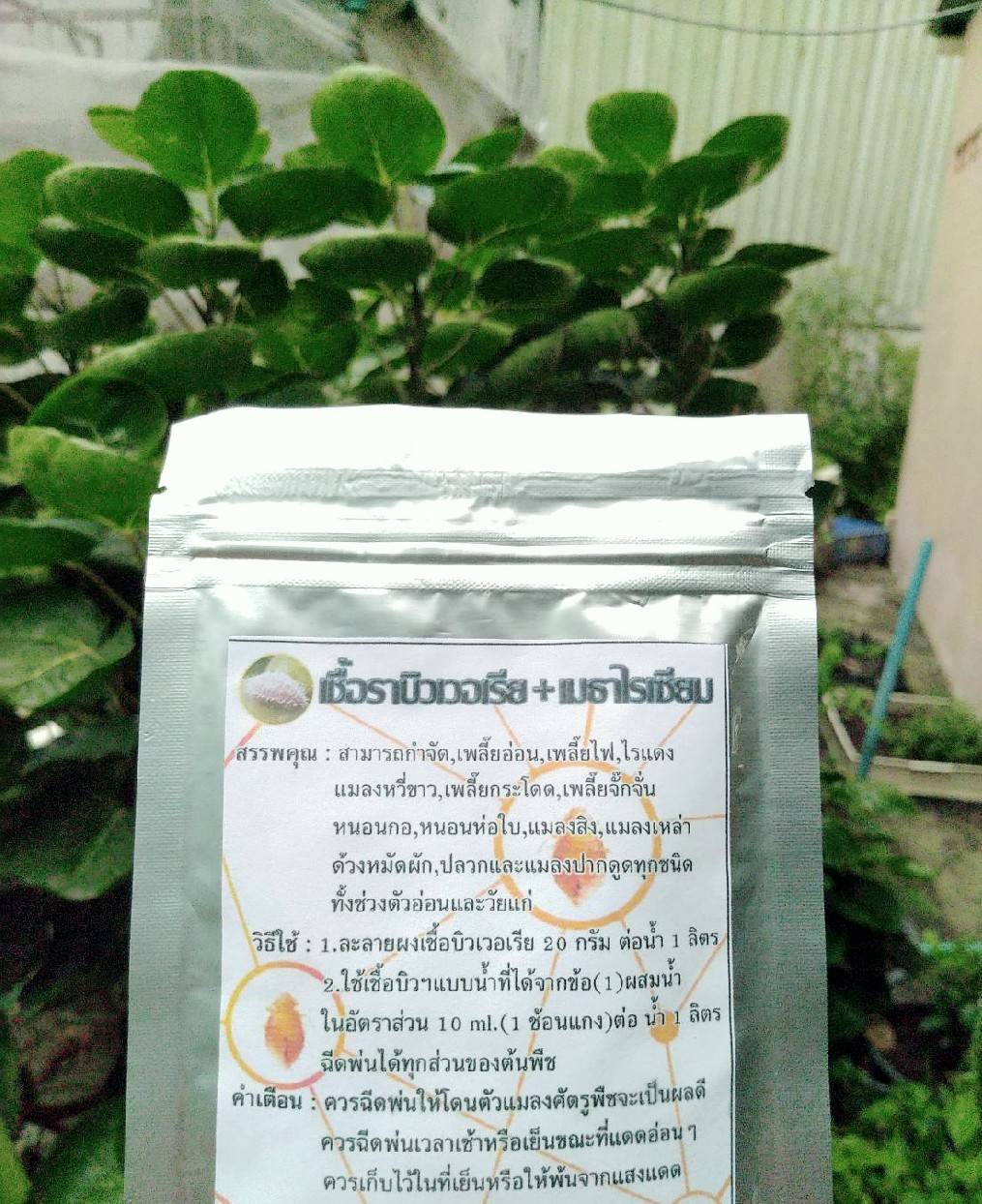 เชื้อราบิวเวอร์เรีย+เมธาไรเซียม แบบผง 20 กรัม ผสมน้ำได้ 1 ลิตร