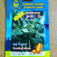 คะน้าฮ่องกง CHINESE KALE กำไลทอง