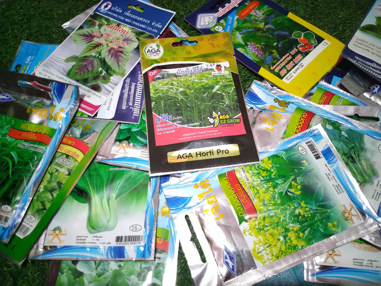 ผักบุ้งจีน สุโก๊ย เอกะฮอร์ติโปร