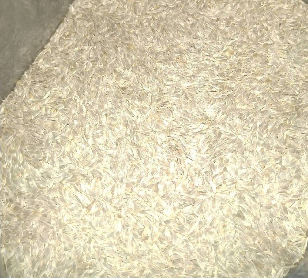 green babycos 100 pills(ไม่เคลือบ)