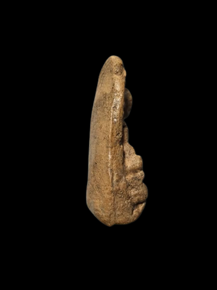 D211 พระรอด