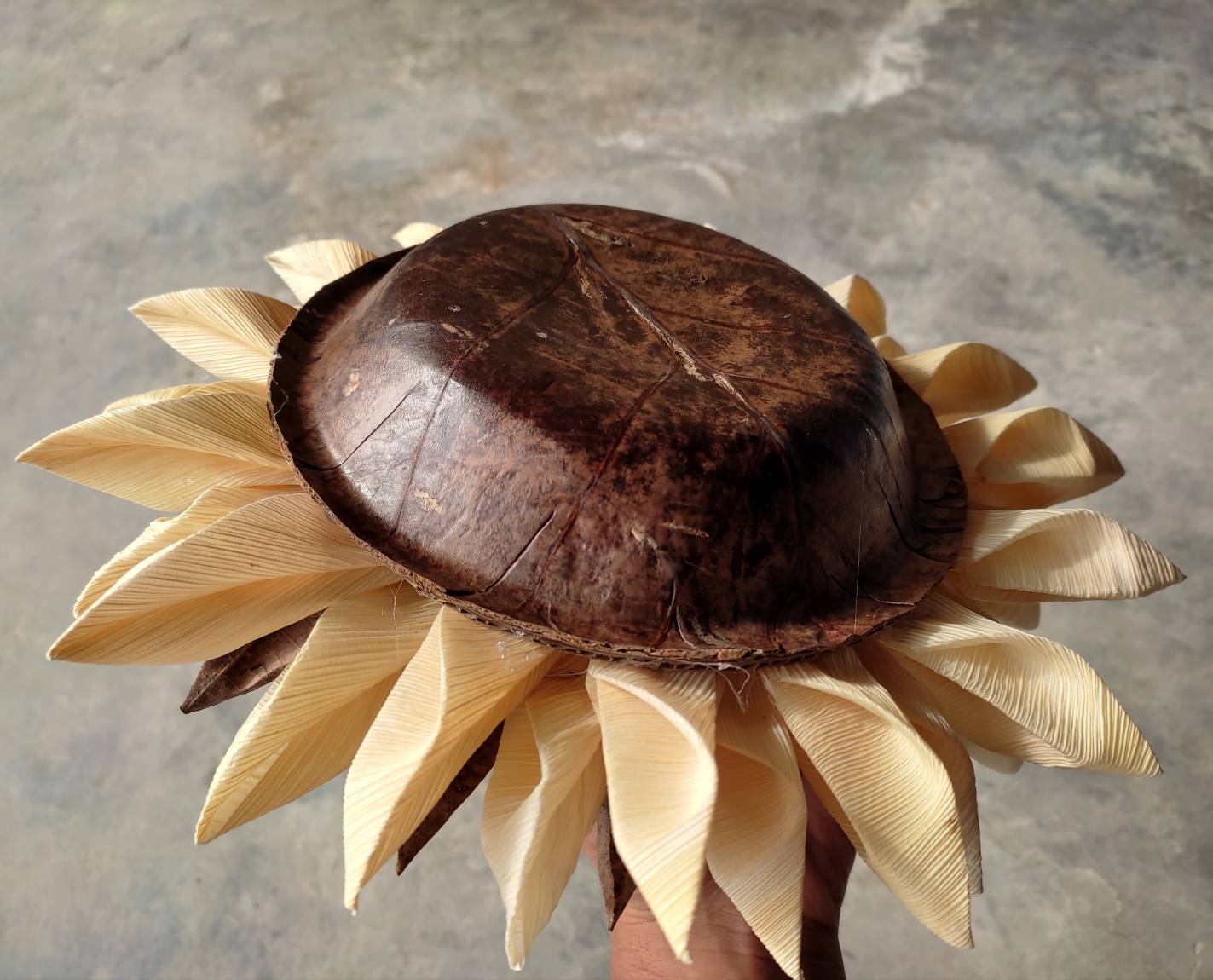 จานใบไม้กลม กว้าง 17 ซม. แพค 20 ใบ จานใบไม้ตองตึงธรรมชาติ จานใบไม้ธรรมชาติ จานใบตอง จานธรรมชาติ