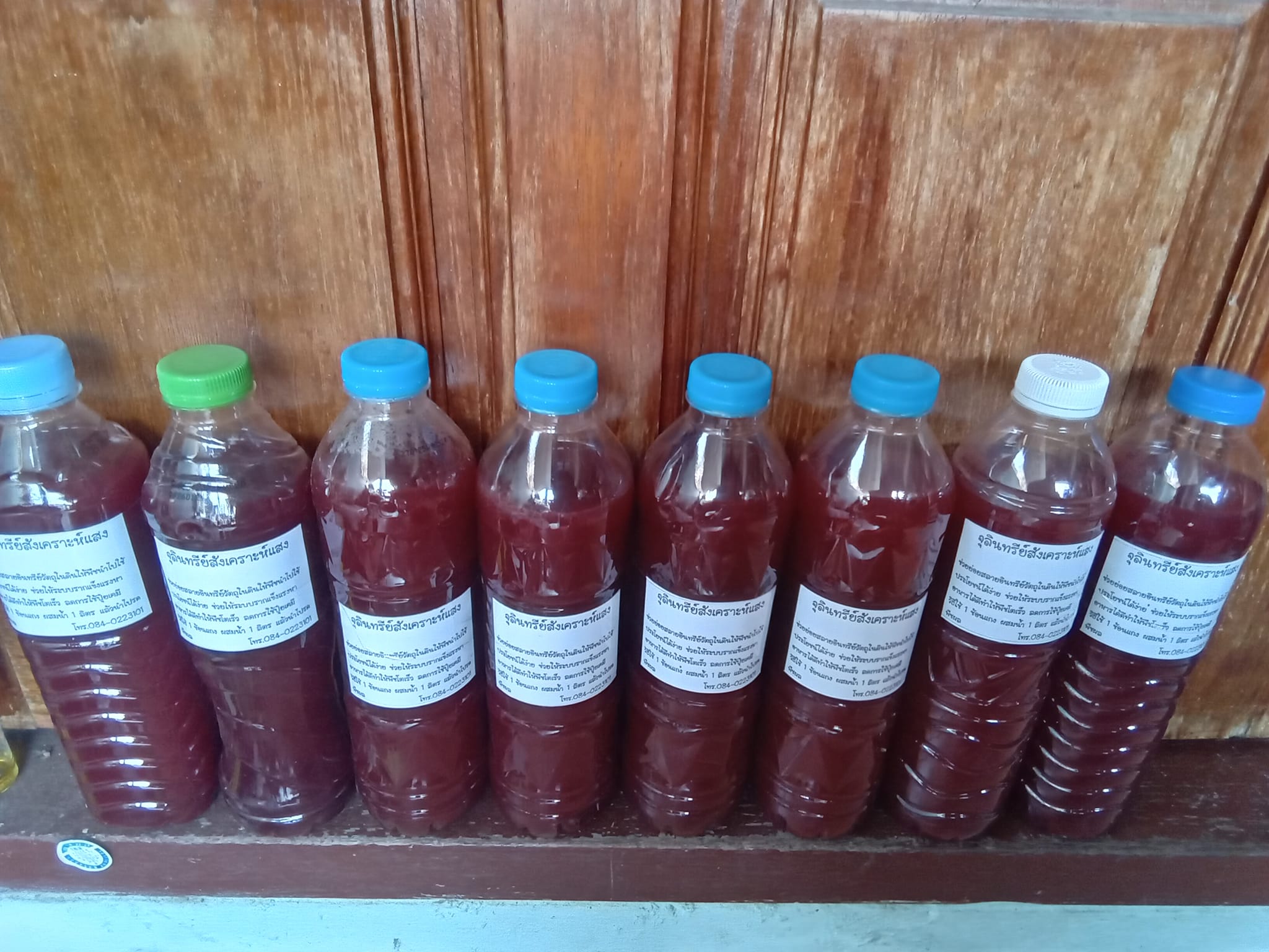 จุลินทรีย์สังเคราะห์แสง สีแดงๆ