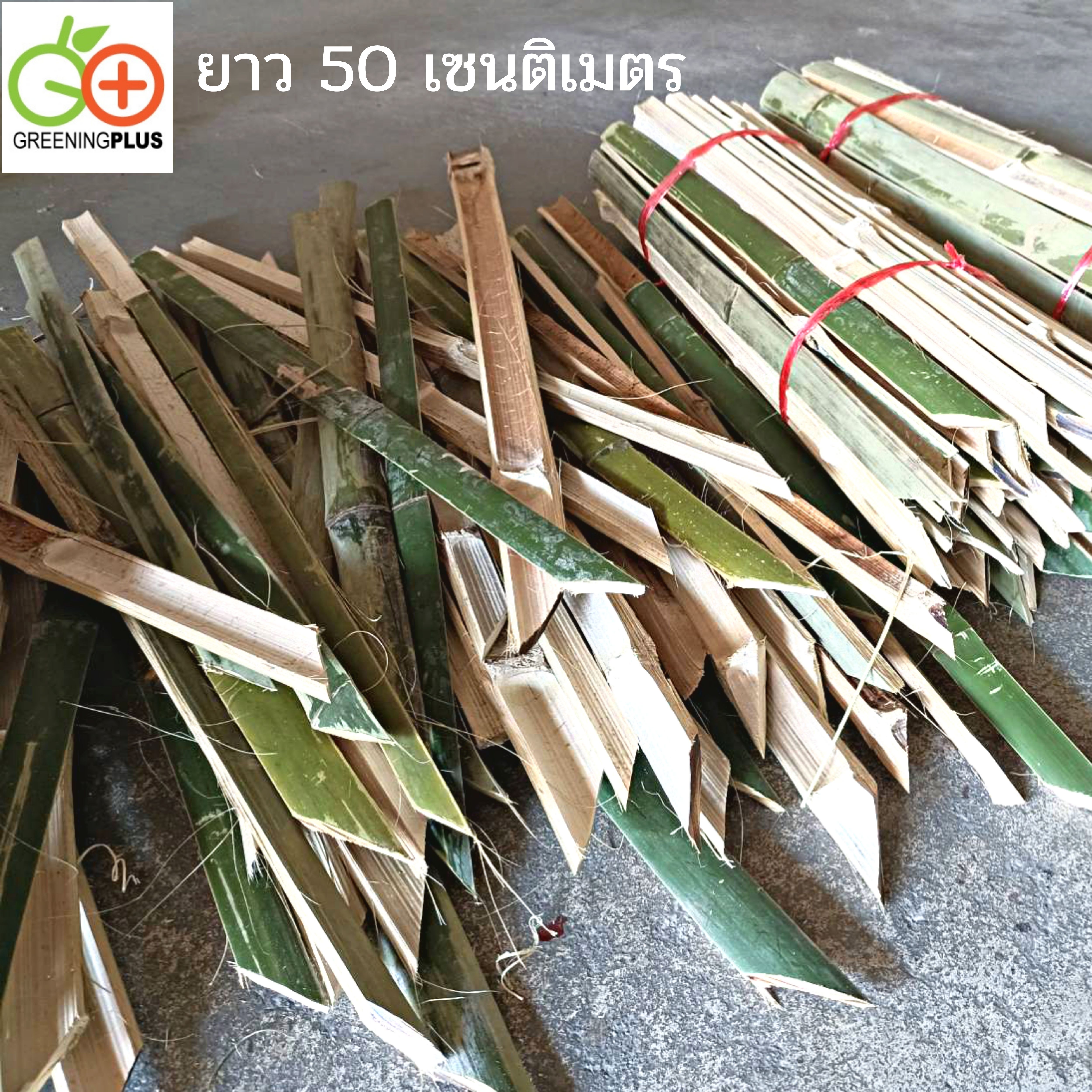 ไม้ปักค้ำต้นไม้ ไม้ไผ่ ไม้ซีก แหลมปลายสะดวกต่อการใช้งาน ขนาด 50 เซนติเมตร / มัด