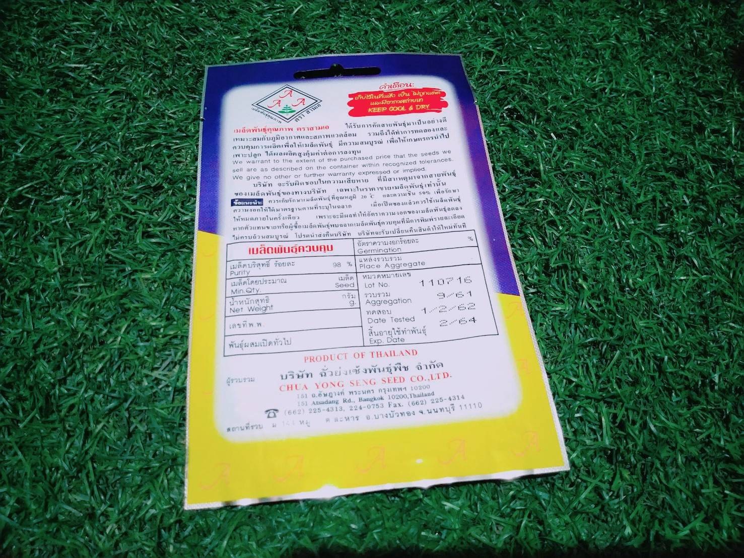 กะเพราแดง AAA