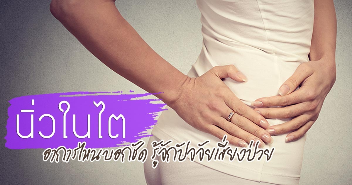 สลายนิ่วในไต
