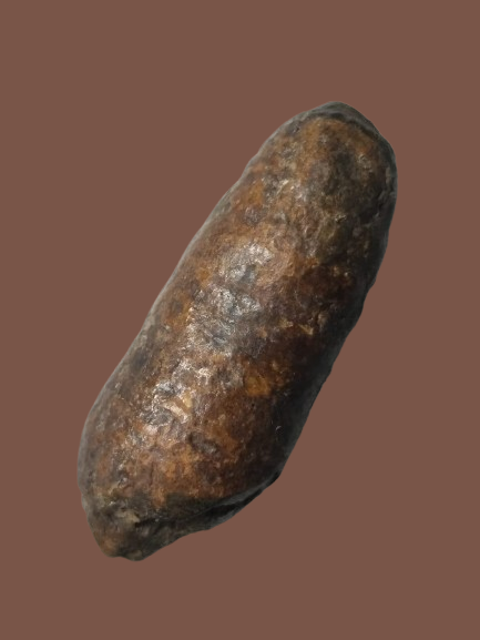 H305 คตดักแด้ ดักแด้หินทนสิทธ์