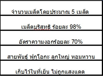 สตรอเบอร์รี่ สายพันธุ์ ฟุกุโอกะ 5 เมล็ด/ซอง