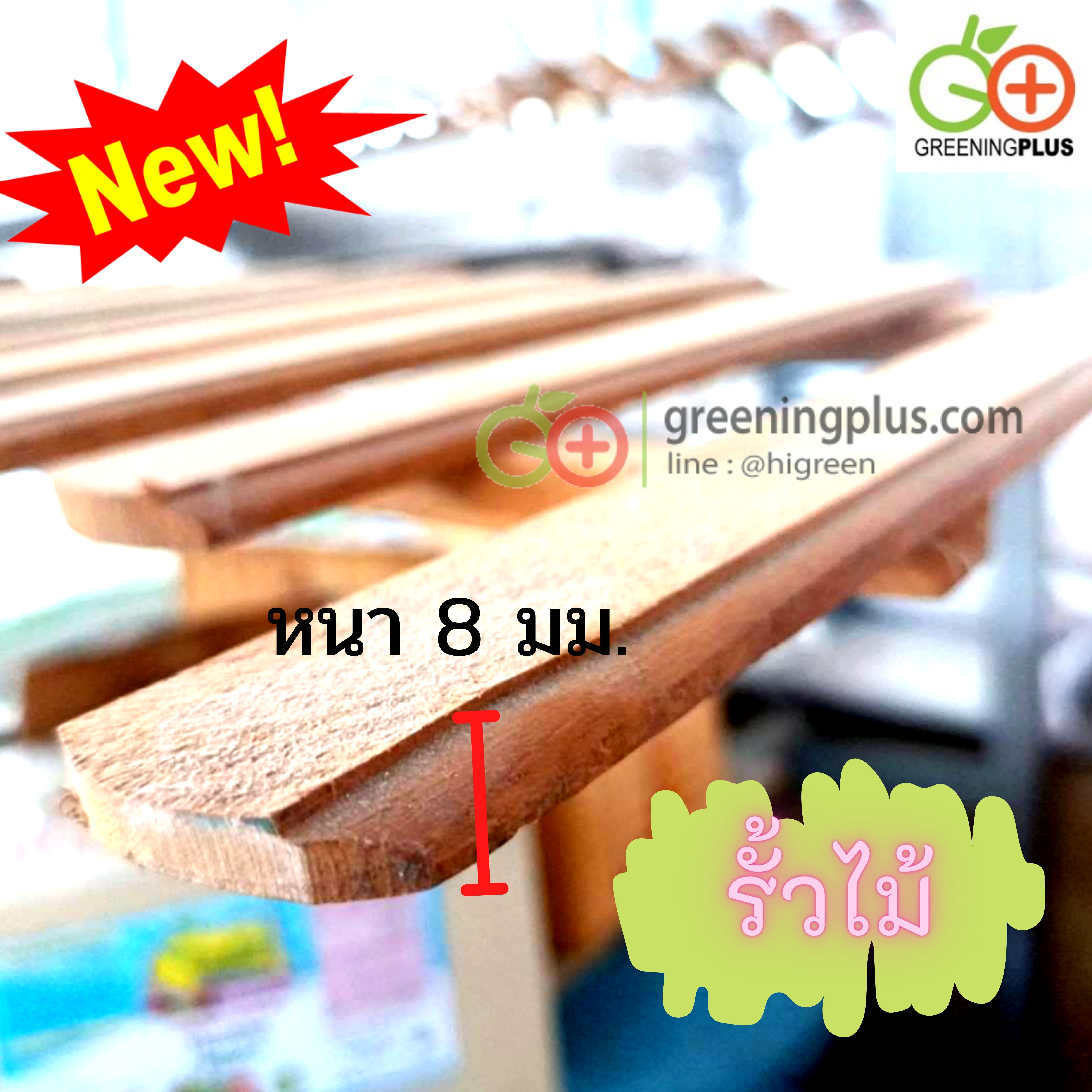 ไม้รั้ว ไม้ตกแต่งสวน