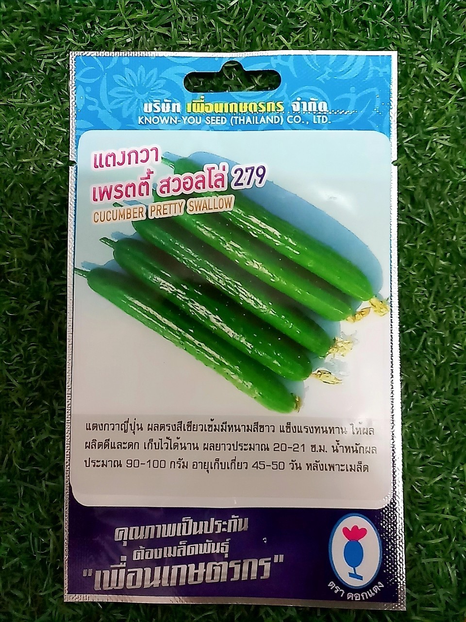 แตงกวาญี่ปุ๋น เพรตตี้ สวอลโล่ 279 cucumber pretty swallow เพื่อนเกษตร