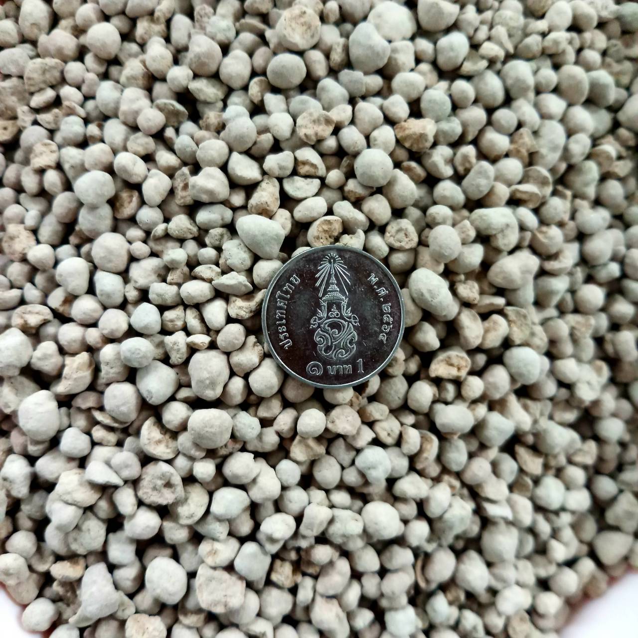 หินภูเขาไฟ 5กก./ถุง