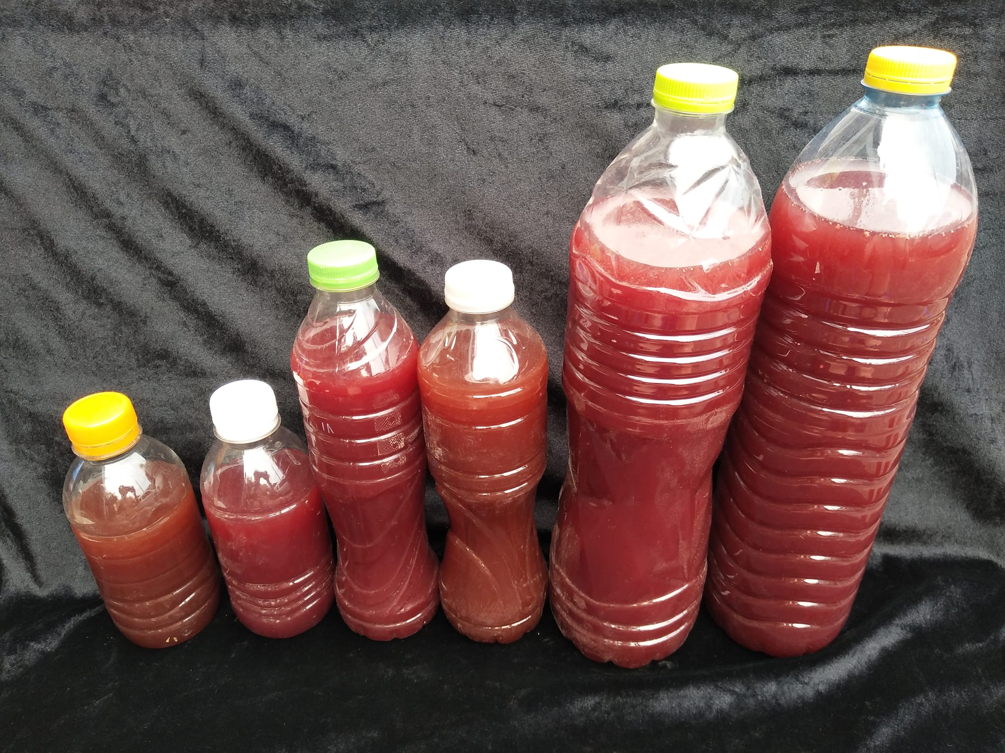 จุลินทรีย์สังเคราะห์แสง สีแดงๆ