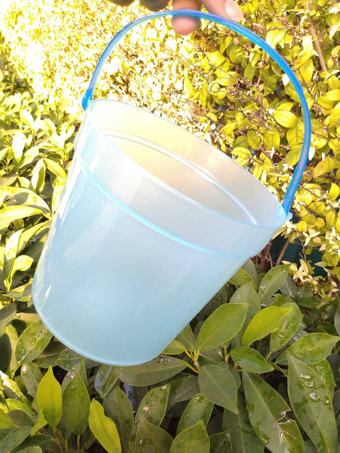 ถังใส่น้ำแข็ง