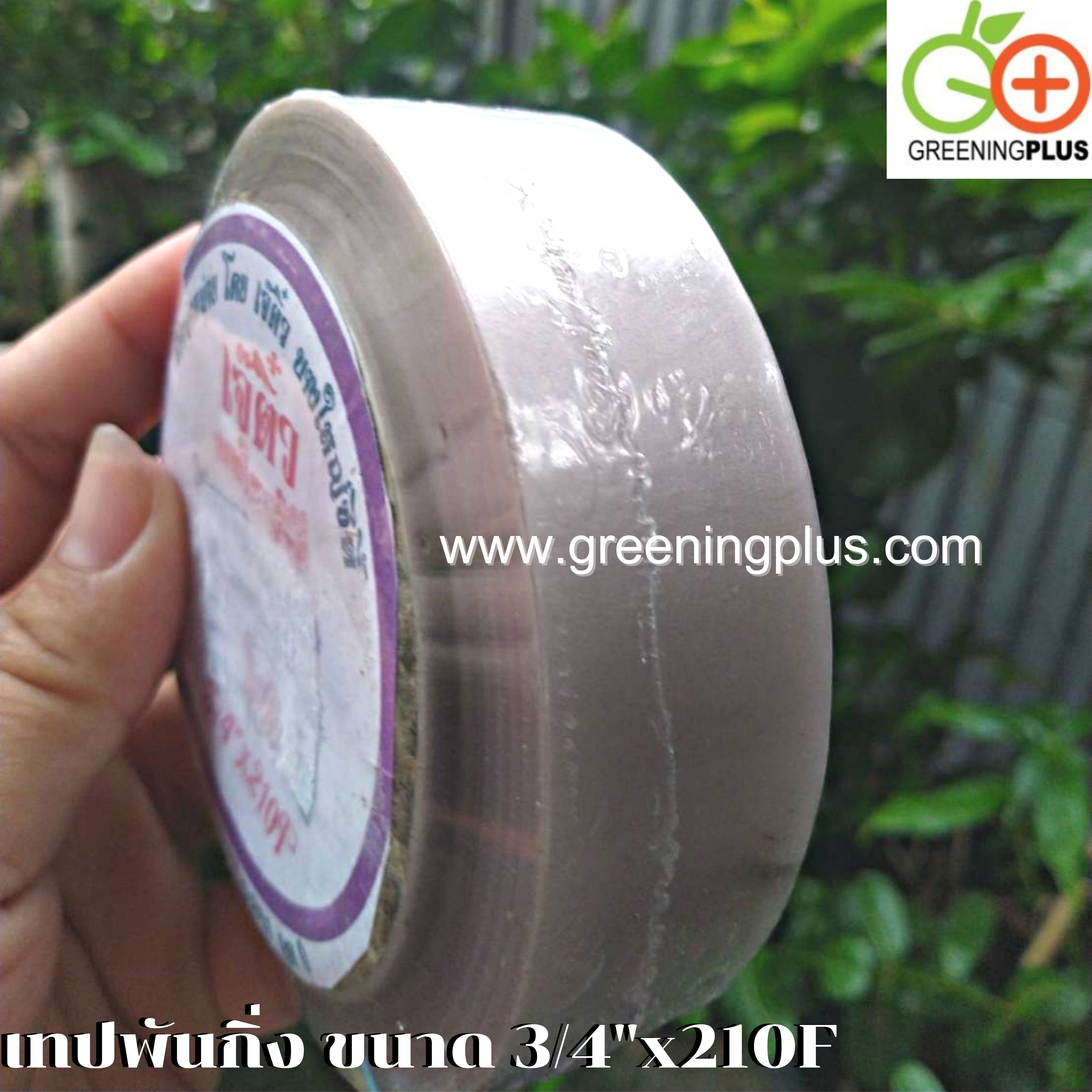 เทปพันกิ่ง ขนาด 3/4"x210F