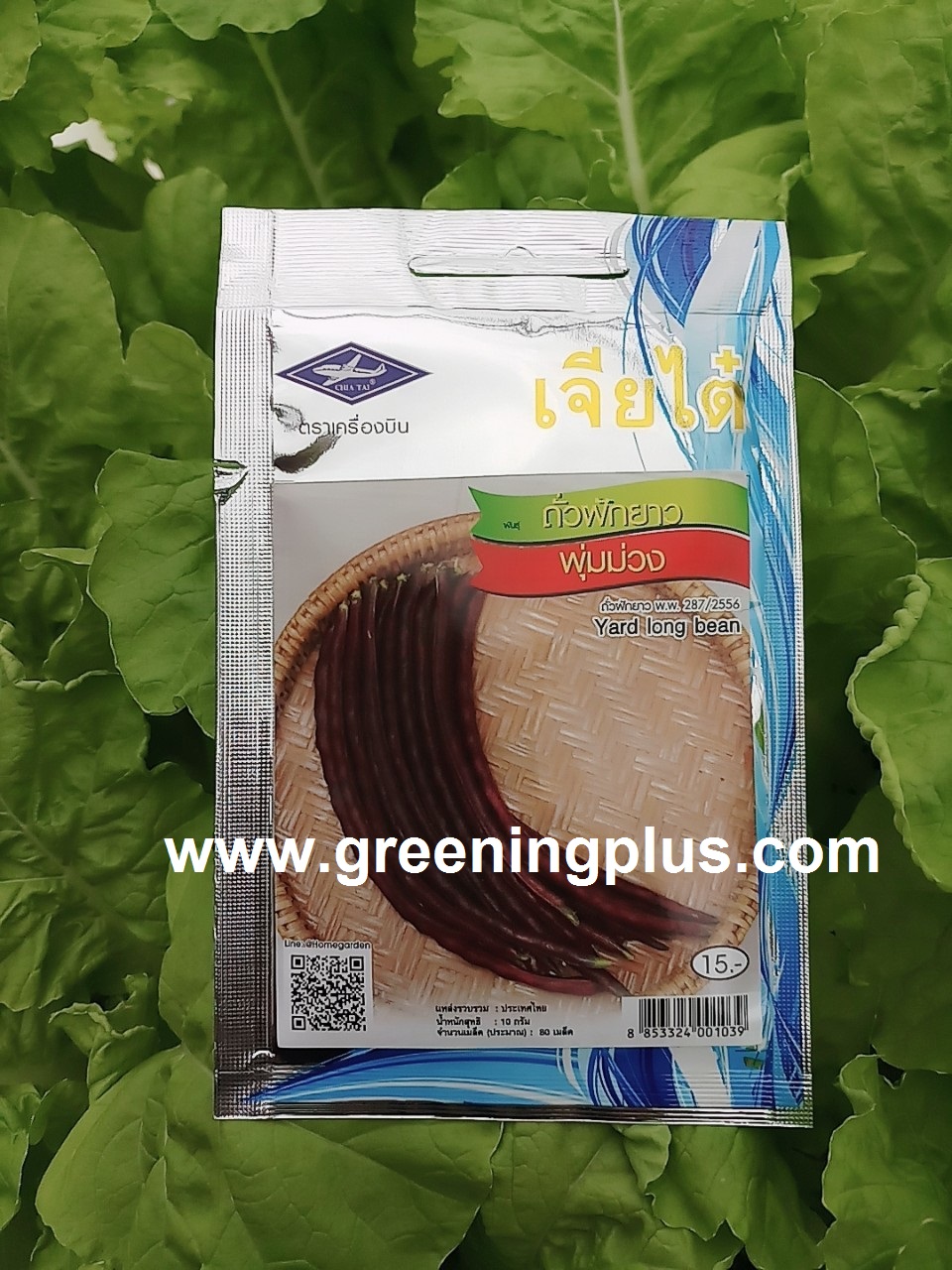 ถั่วฝักยาวพุ่มม่วงYard long bean เจียใต๋