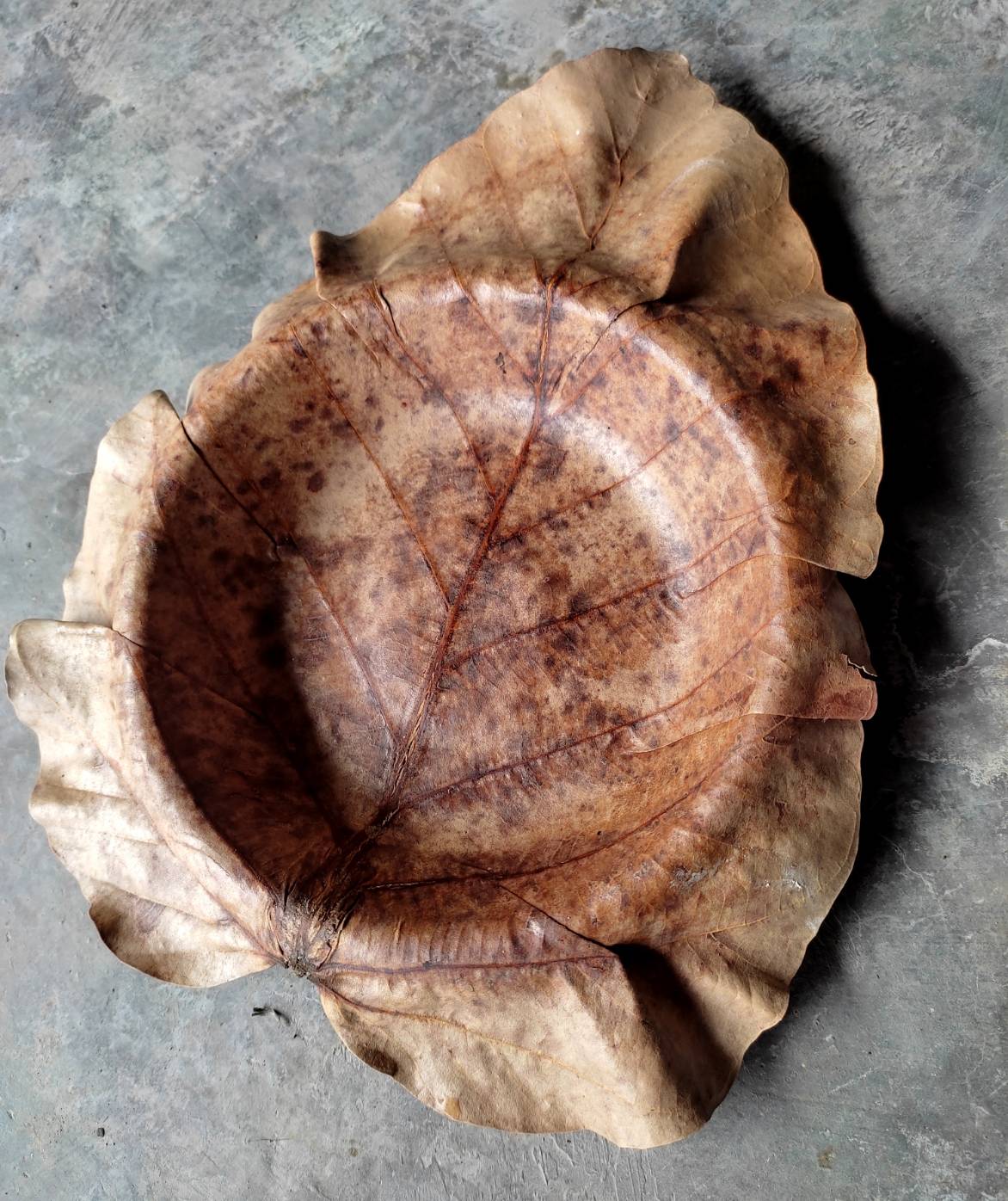 จานใบไม้กลม กว้าง 17 ซม. แพค 20 ใบ จานใบไม้ตองตึงธรรมชาติ จานใบไม้ธรรมชาติ จานใบตอง จานธรรมชาติ