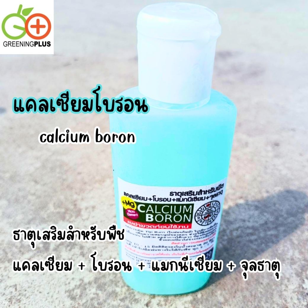 แคลเซียมโบรอน calcium boron 120ml./ขวด