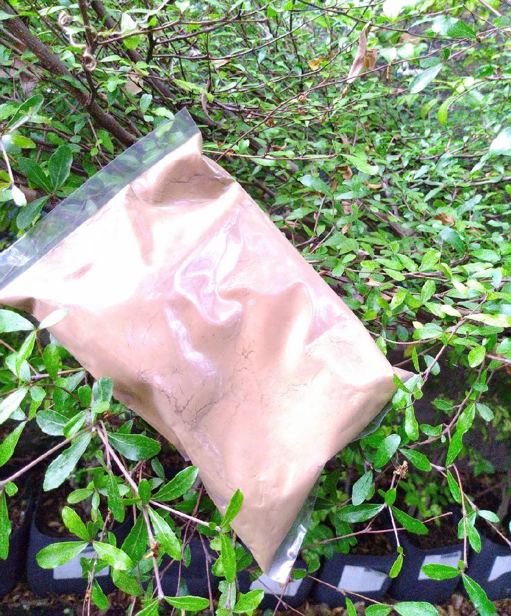 ยาสูบผง ไล่แมลง ขนาด 200 กรัม