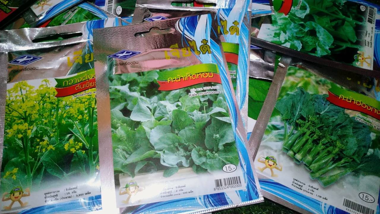 คะน้าเห็ดหอม Kale mushrooms เจียไต๋