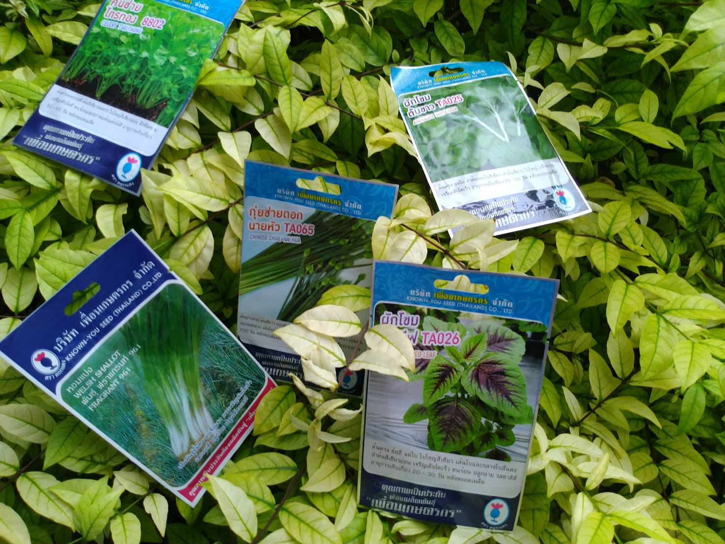 คื่นช่าย ไทรทอง 8802 เพื่อนเกษตร