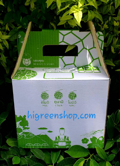 กล่องเมล่อนขนาด 1ลูก พร้อมถาดรอง