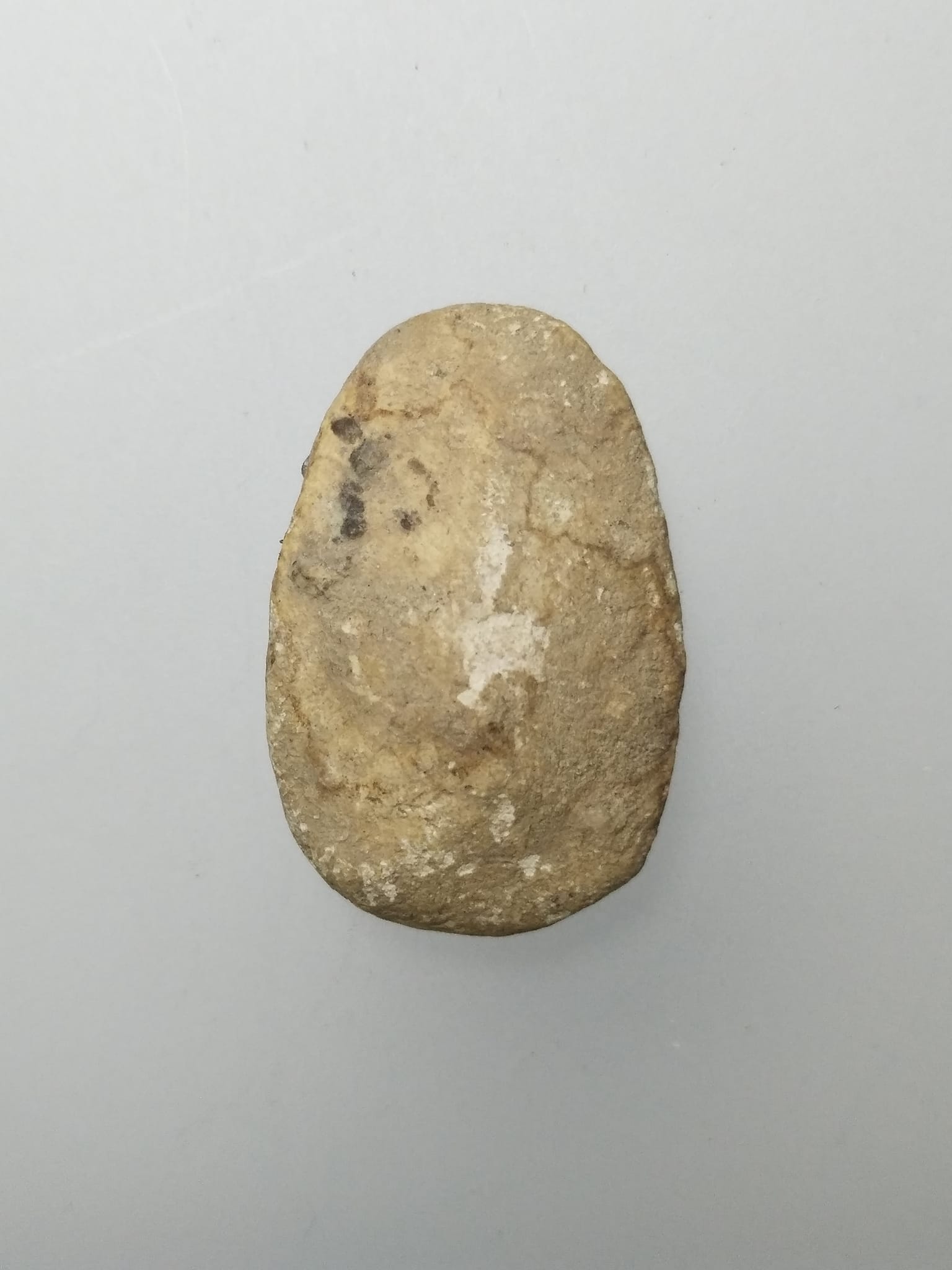 F008 พระวัดพลับ