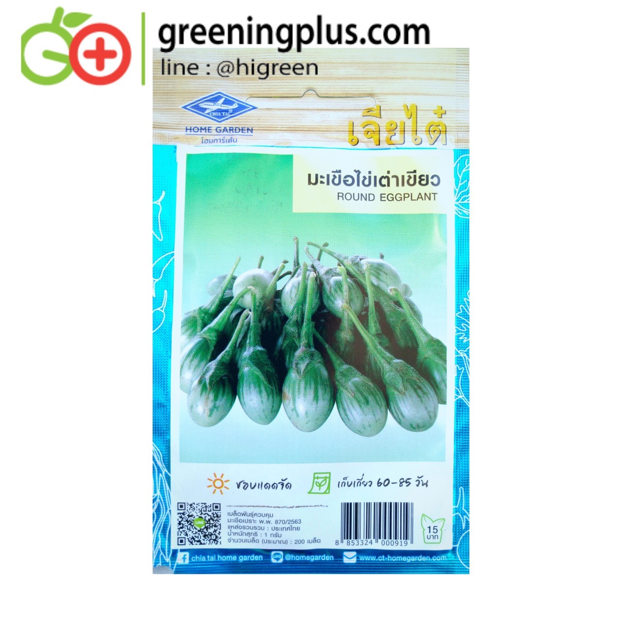 มะเขือไข่เต่าเขียว (Round Eggplant) เจียไต๋
