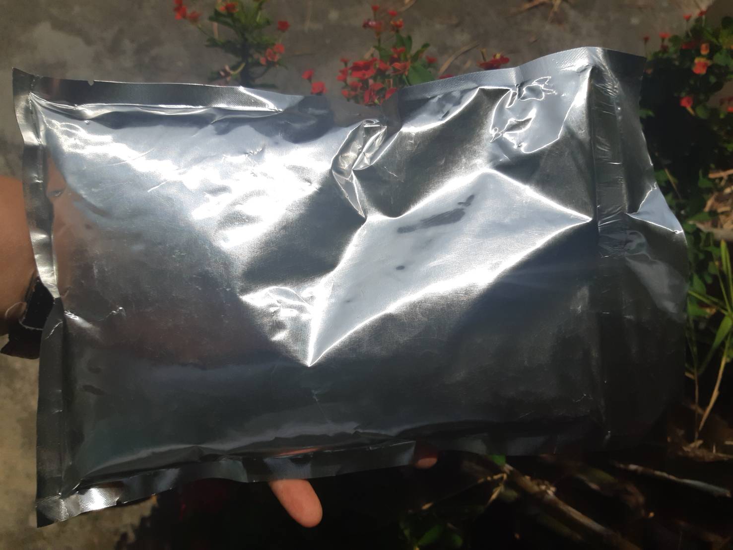 หัวเชื้อจาวปลวกปฐมฯ500กรัม