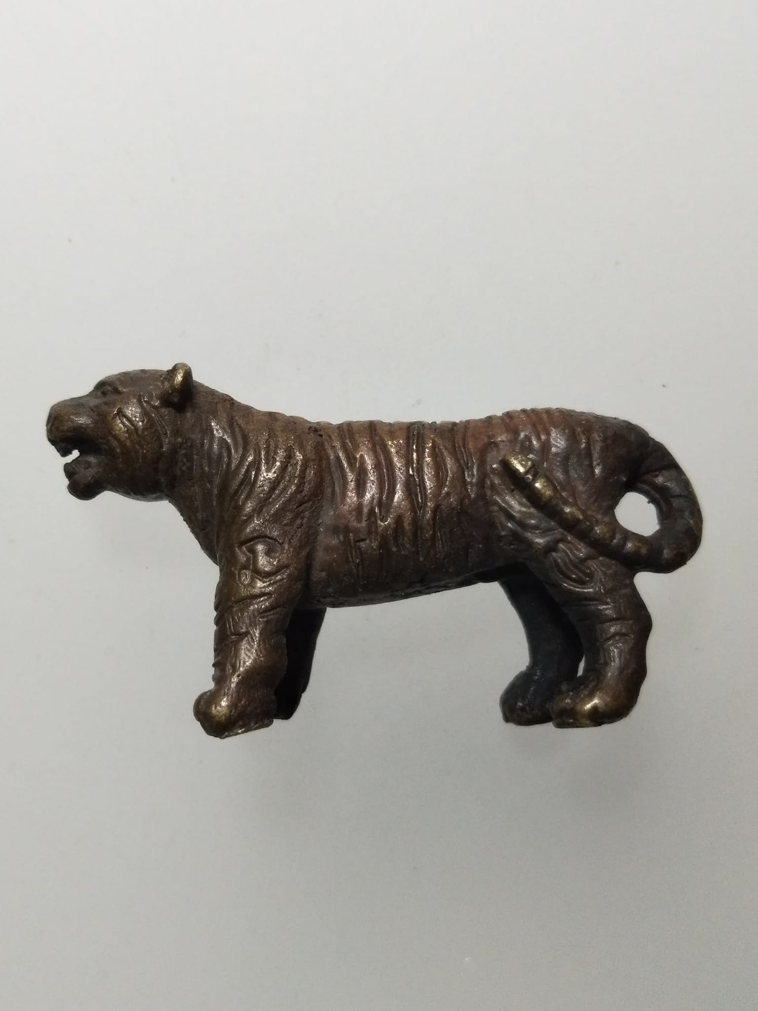 E136 เสือรูปหล่อ