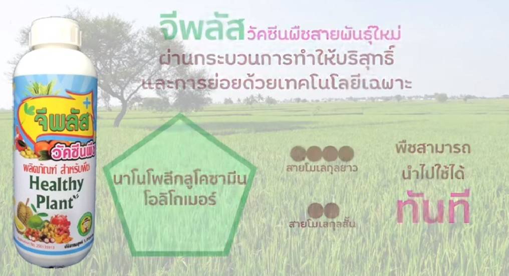 วัคซีนพืช-จีพลัส กระตุ้นภูมิสู้โรคลดตุ้นทุนเพิ่มผลผลิต ขนาด 100 ml.