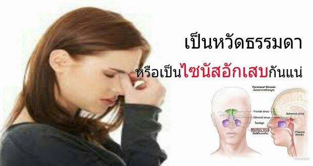 โรคไซนัสอักเสบ ป้องกันหายได้ด้วยชุดป้องกันจาก เซอร์นิติน Cernitin