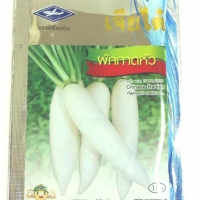 กาดหัว Chinese Radish เจียใต๋