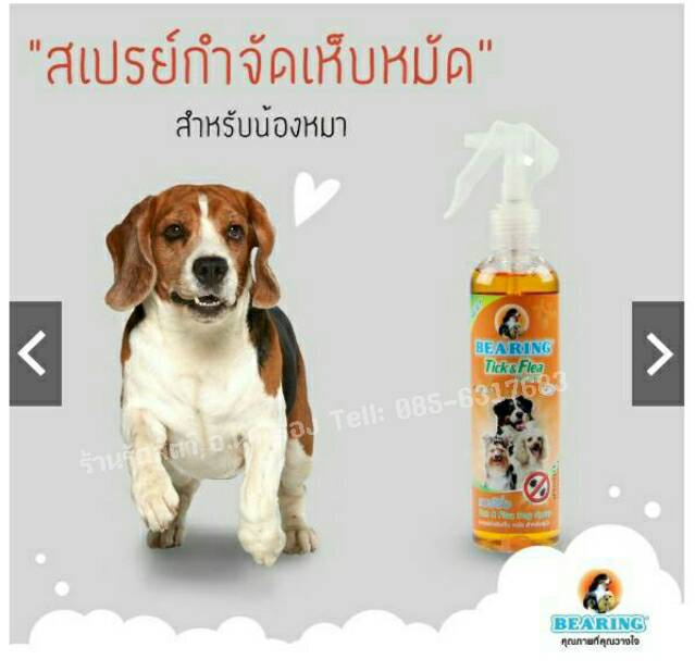 รายละเอียดสินค้า o ฉีดที่ตัวสุนัขได้โดยตรง ไม่เป็นอันตรายต่อผู้ใช้และสัตว์เลี้ยงแม้สุนัขเลีย o ป้องกันและกำจัดเห็บหมัด สามารถใชัคู่กับแชมพูแห้ง หรือในระหว่างที่สุนัขยังอาบน้ำไม่ได้ o ให้กลิ่นหอมของลาเวนเดอร์ ให้ความรู้สึกผ่อนคลายสบายผิว o ได้รับการรับรองจ