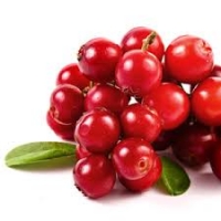 แครนเบอร์รี่ (cranberry) 10เมล็ด/ซอง