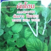 ผักโขมต้นขาว TA025 เพื่อนเกษตร