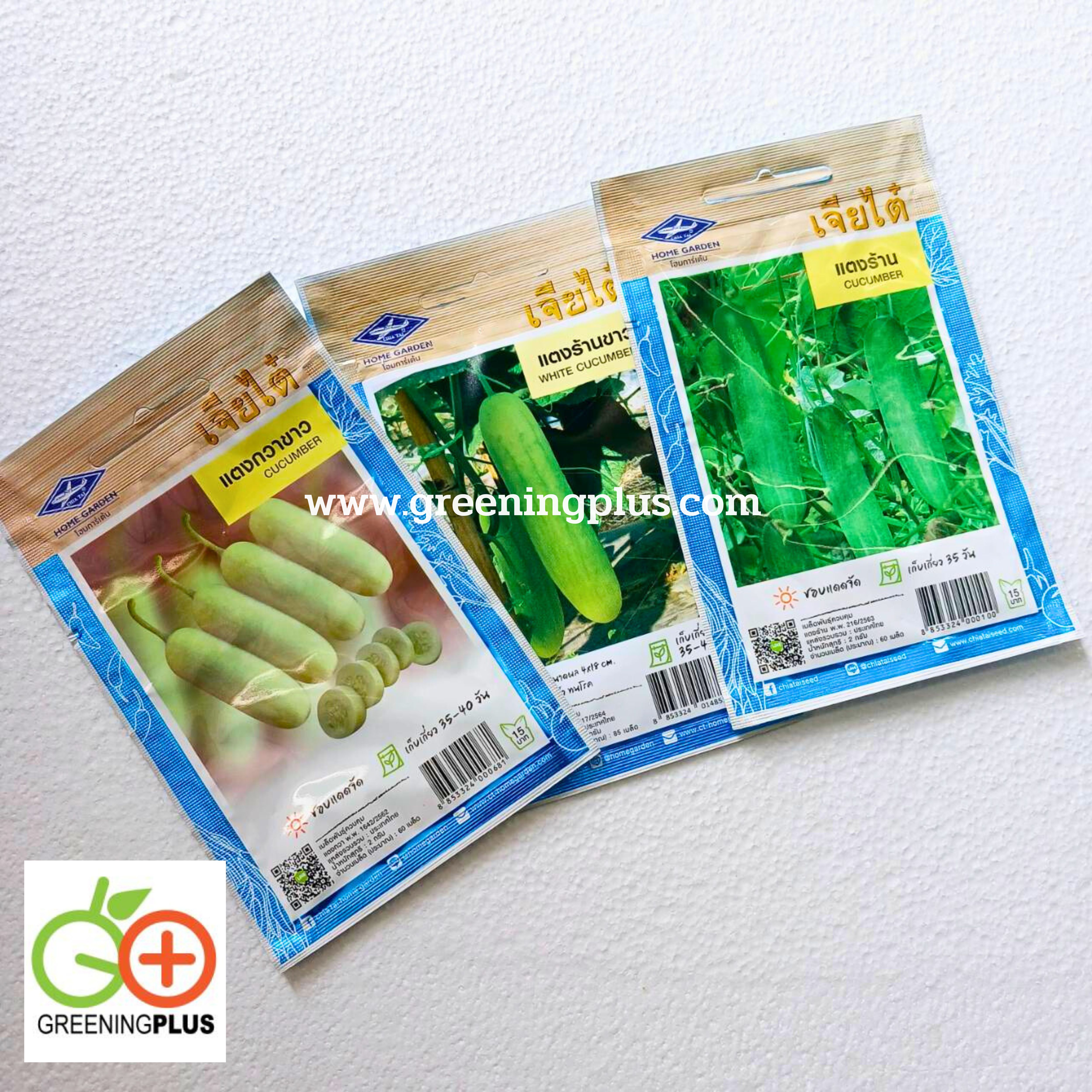 แตงร้าน CUCUMBER เจียไต๋