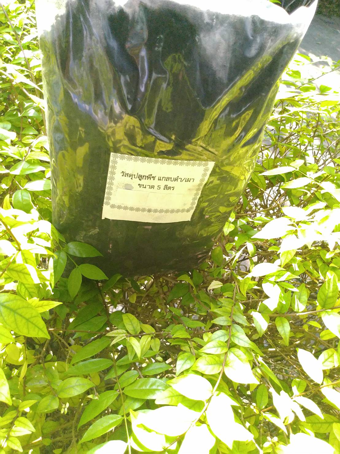 แกลบดำ/แกลบเผา ขนาด 5 ลิตร. จำนวน 2 ถุง