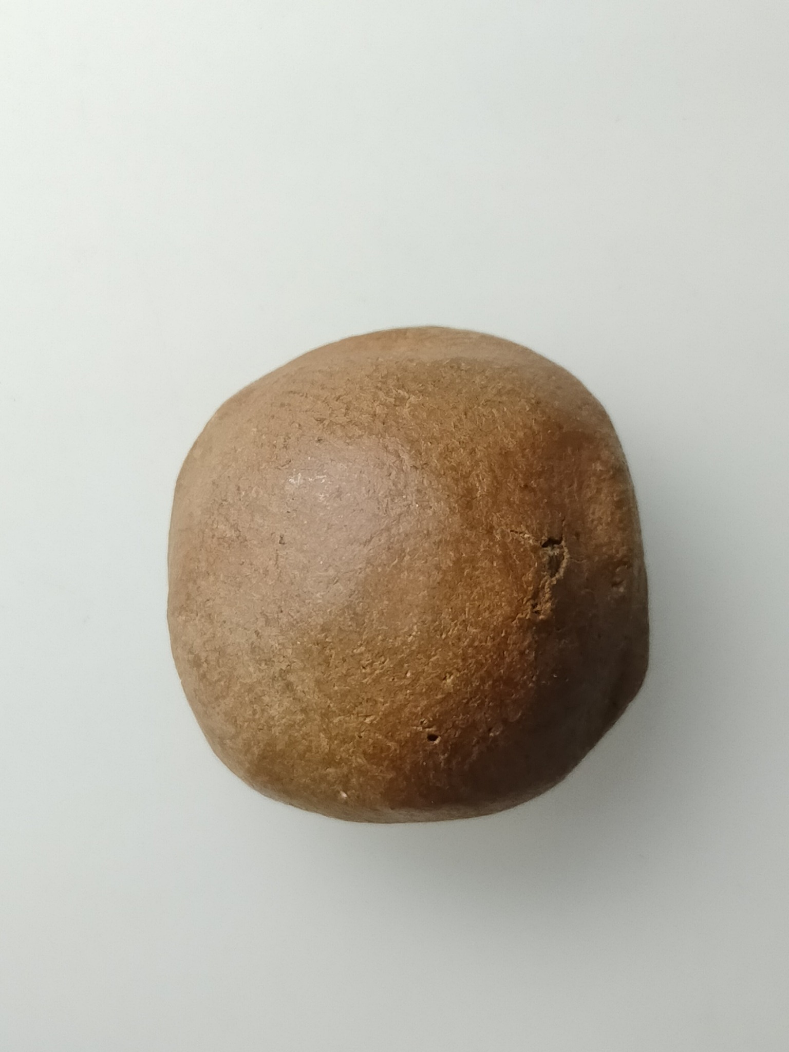 H451 พระเม็ดกระดุม ศรีวิชัย พิมพ์ชลูด