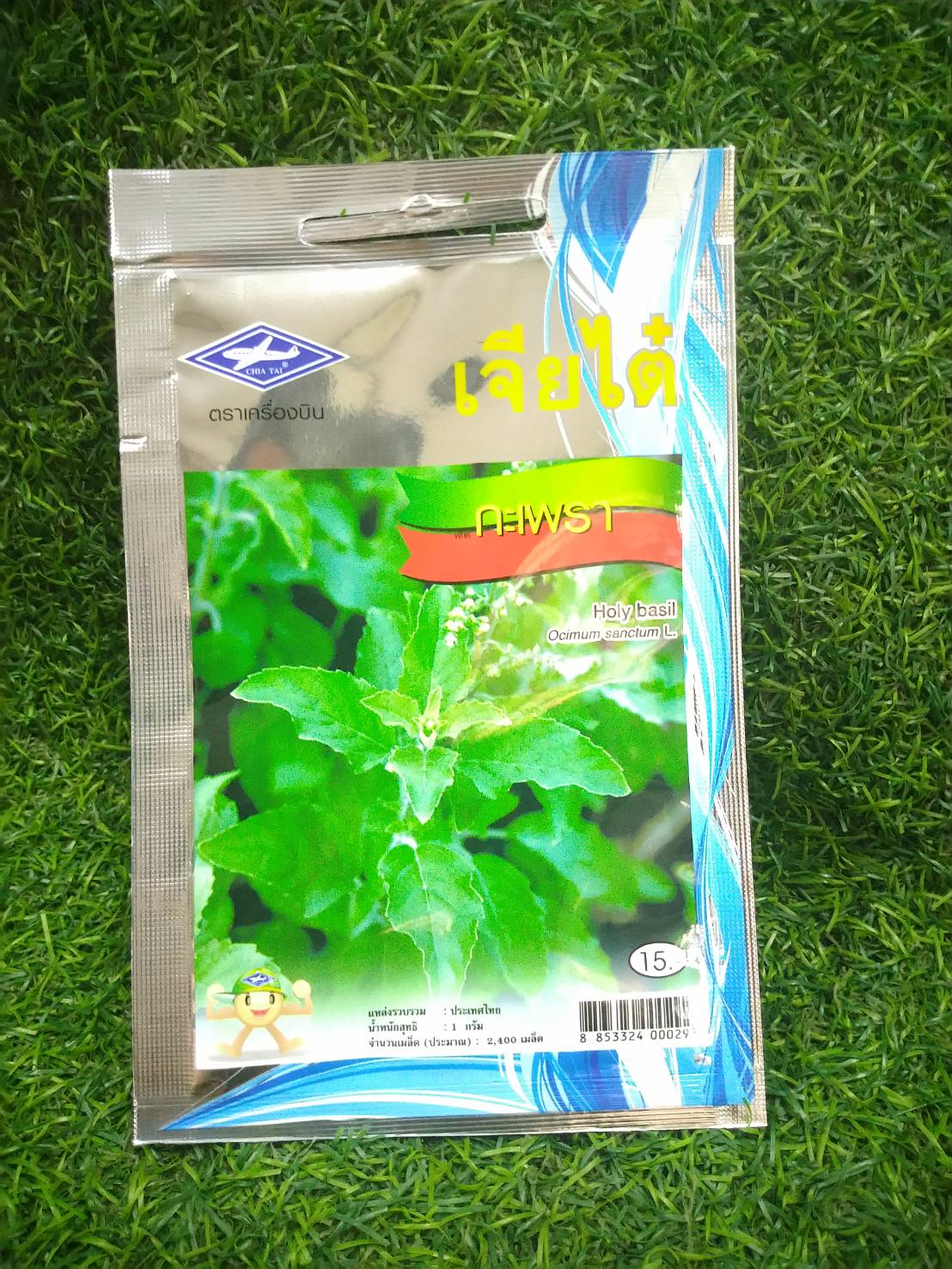 กะเพรา holy basil เจียใต๋