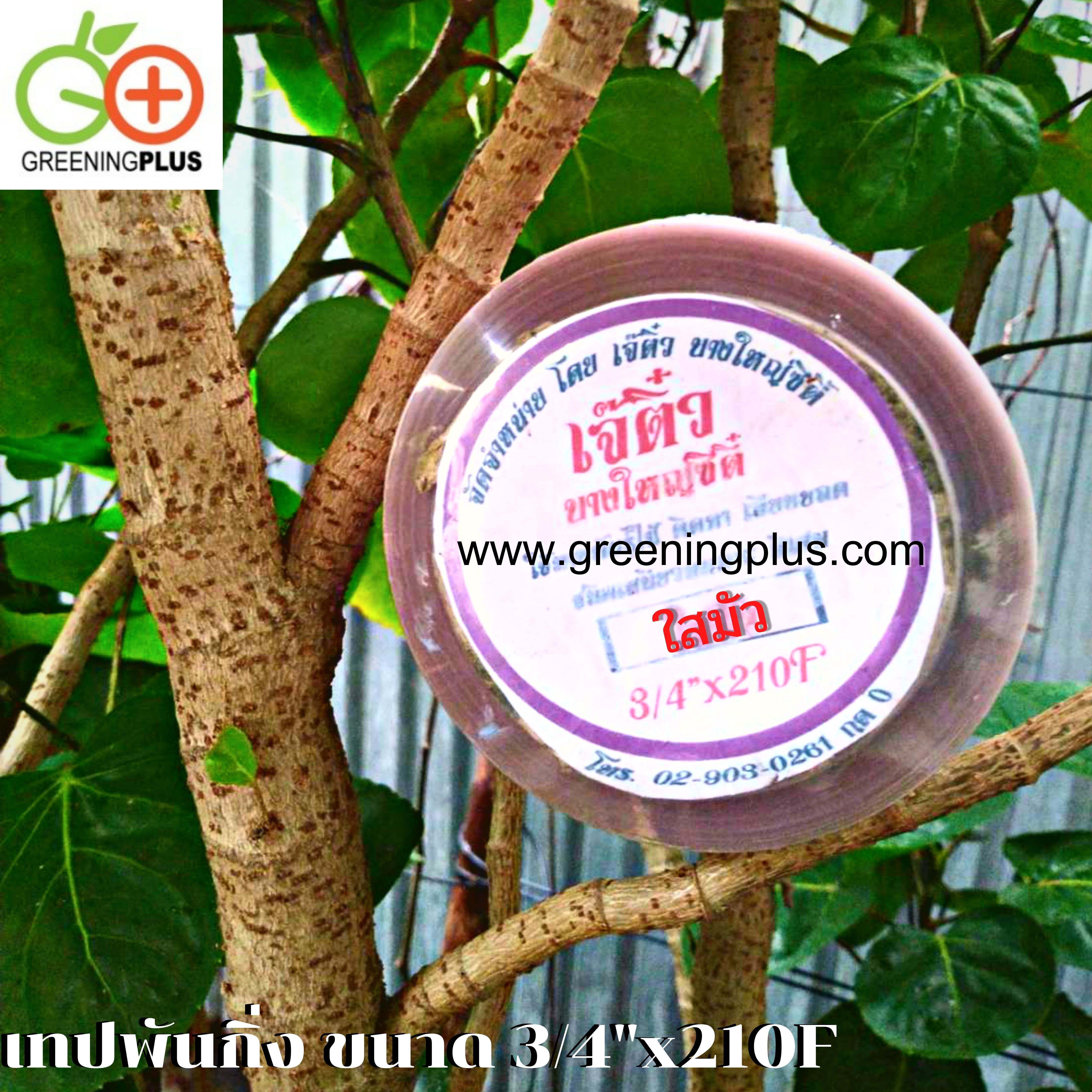 เทปพันกิ่ง ขนาด 3/4"x210F