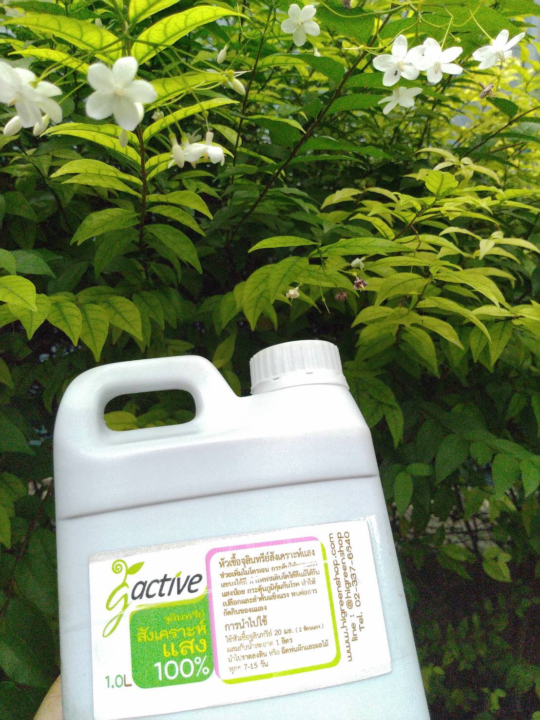 น้ำหมักจุลินทรีย์สังเคราะห์แสง ขนาด 1000 มล.