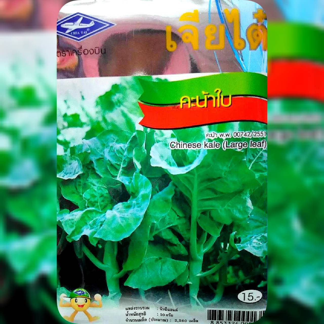 คะน้าใบ (Chinese Kale - Large leaf) เจียใต๋