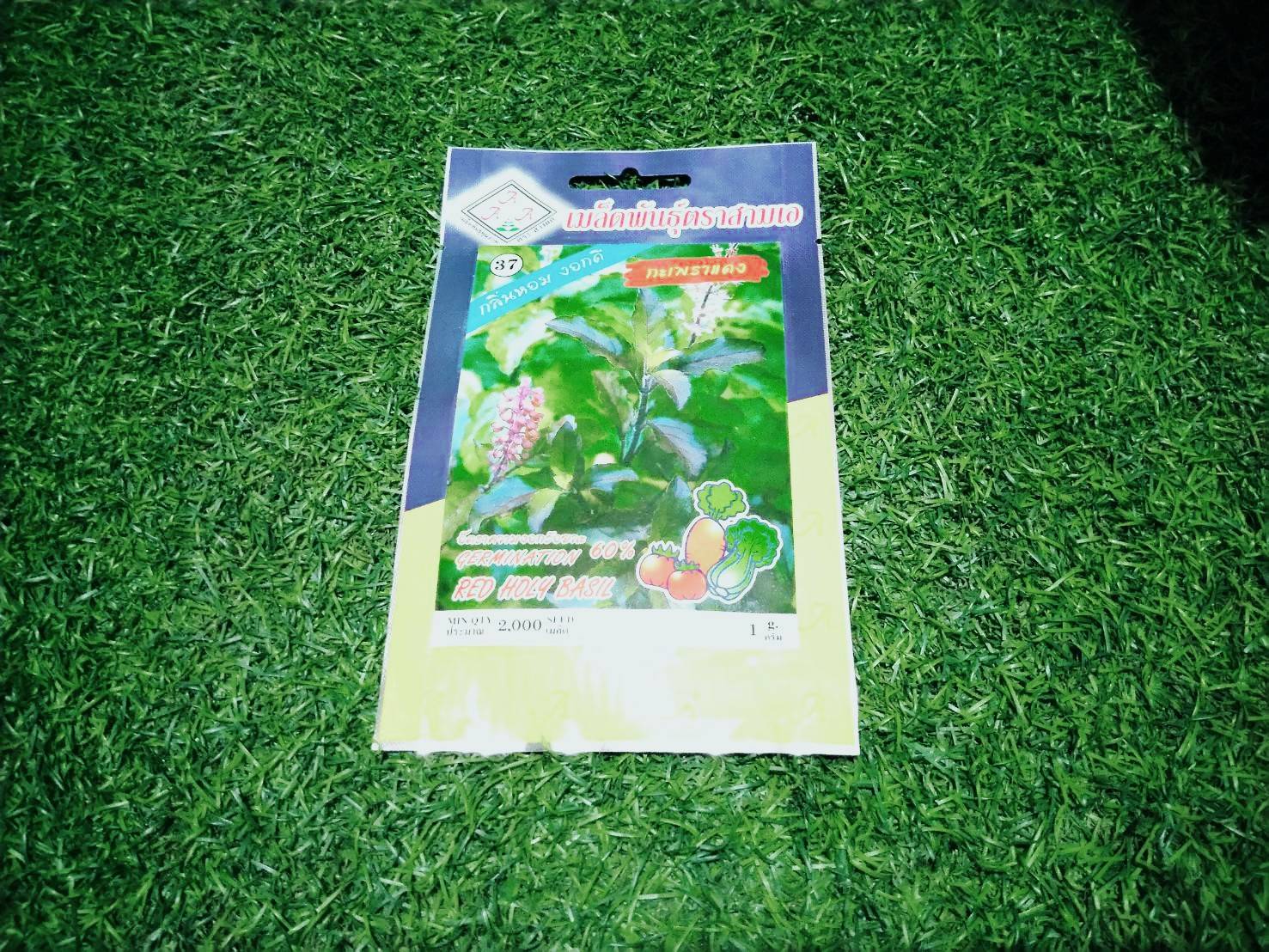 กะเพราแดง AAA