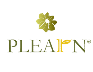 PLEARN (เพลิน)