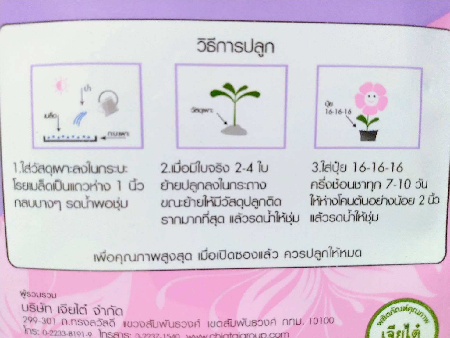 ดอกฮอลลี่ฮ็อค ดอกซ้อน Hollyhock เจียใต๋