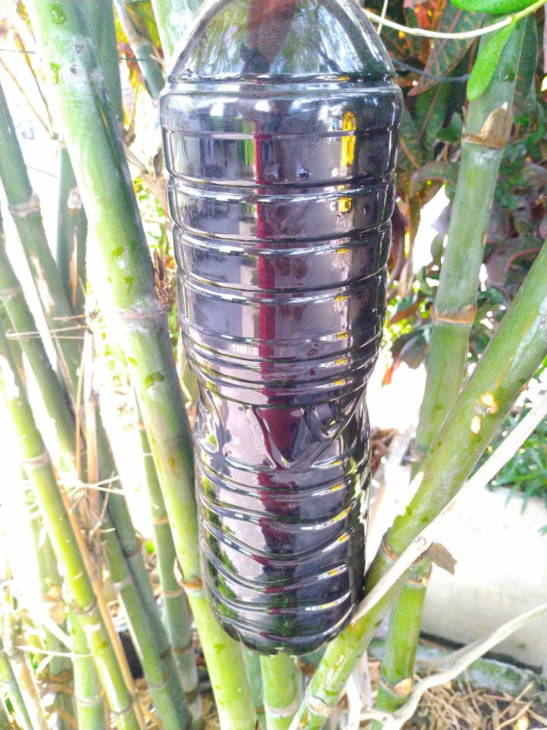 กากน้ำตาล 2 กก.