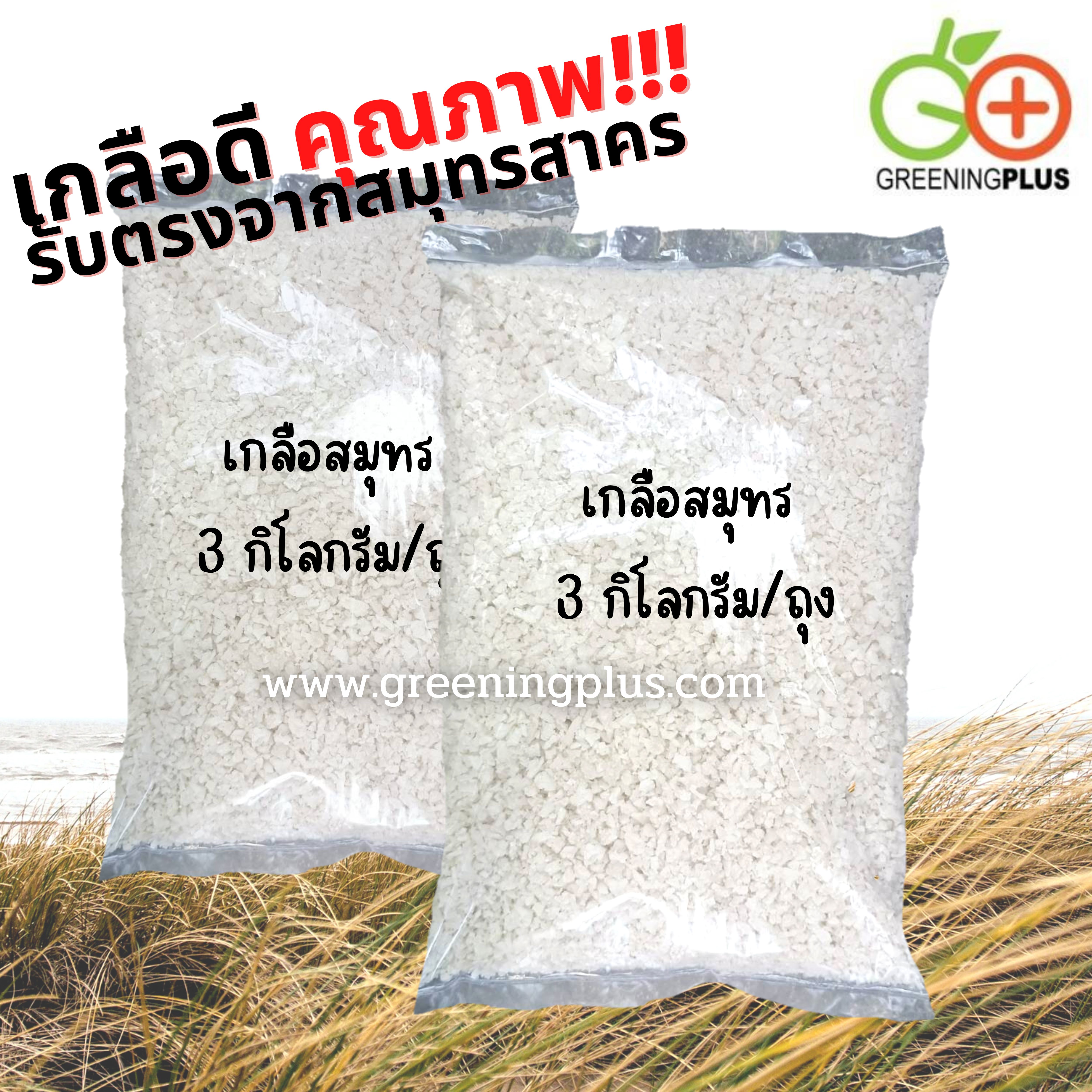 เกลือสมุทร 28-29 กิโลกรัม /กระสอบ